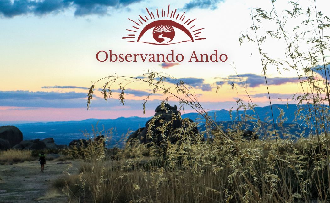 Introducción a la meditación